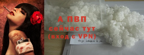 трава Арсеньев