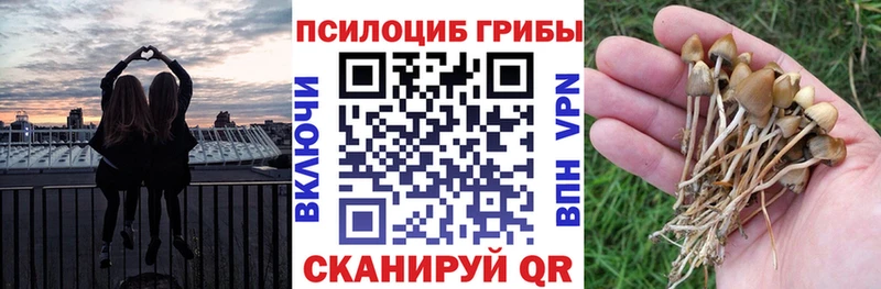 мега маркетплейс  Спасск-Рязанский  Псилоцибиновые грибы Psilocybine cubensis  купить наркотики сайты 